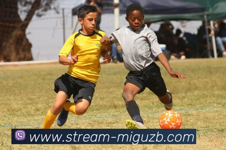 数据防护可视化